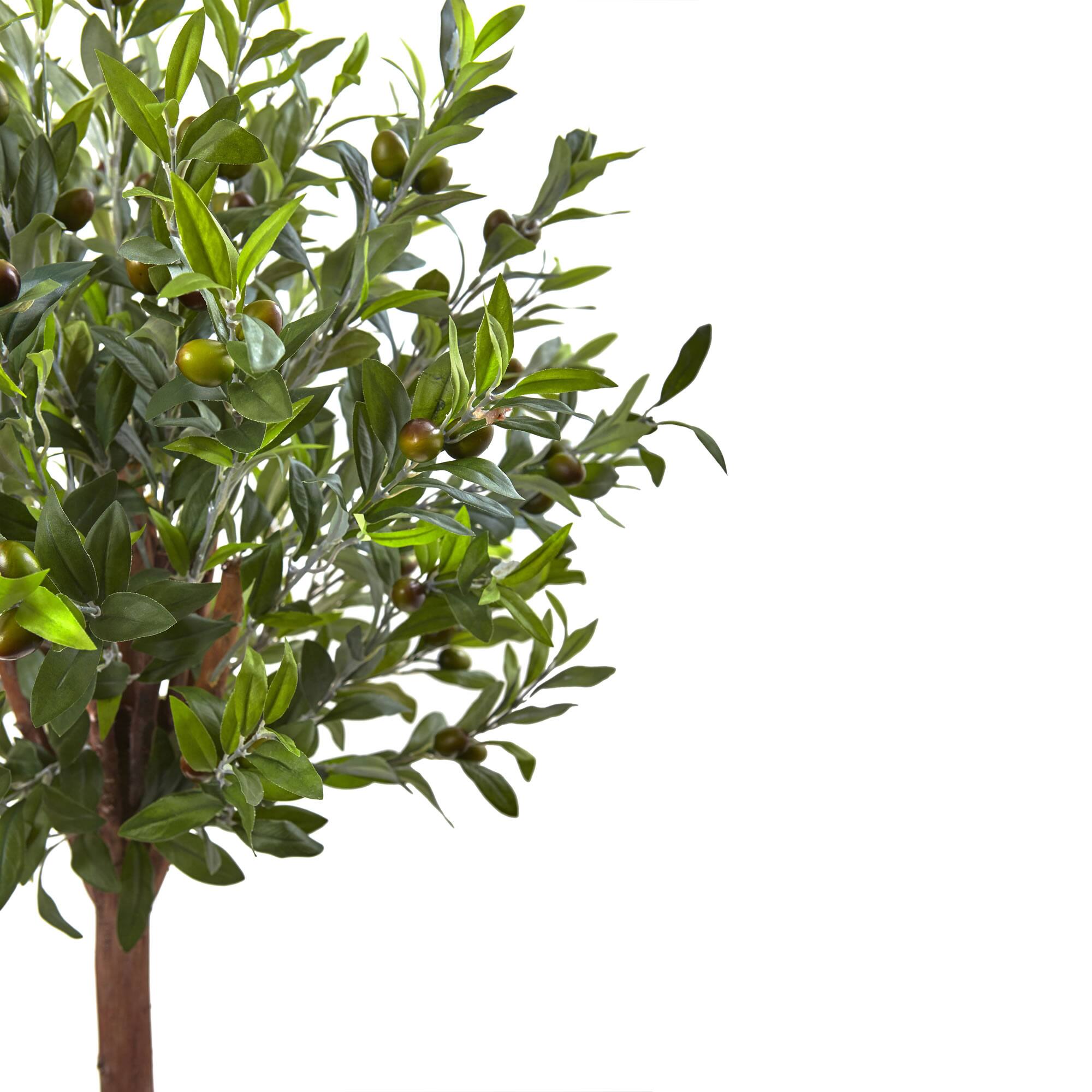4.5ft. Olive Topiary Tree with Farmhouse Barrel Planter